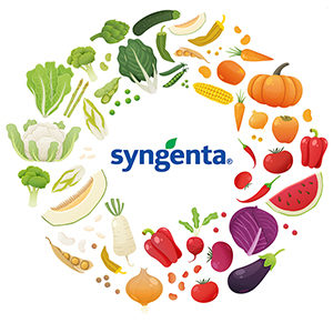 Синджента зеленчукови семена лого