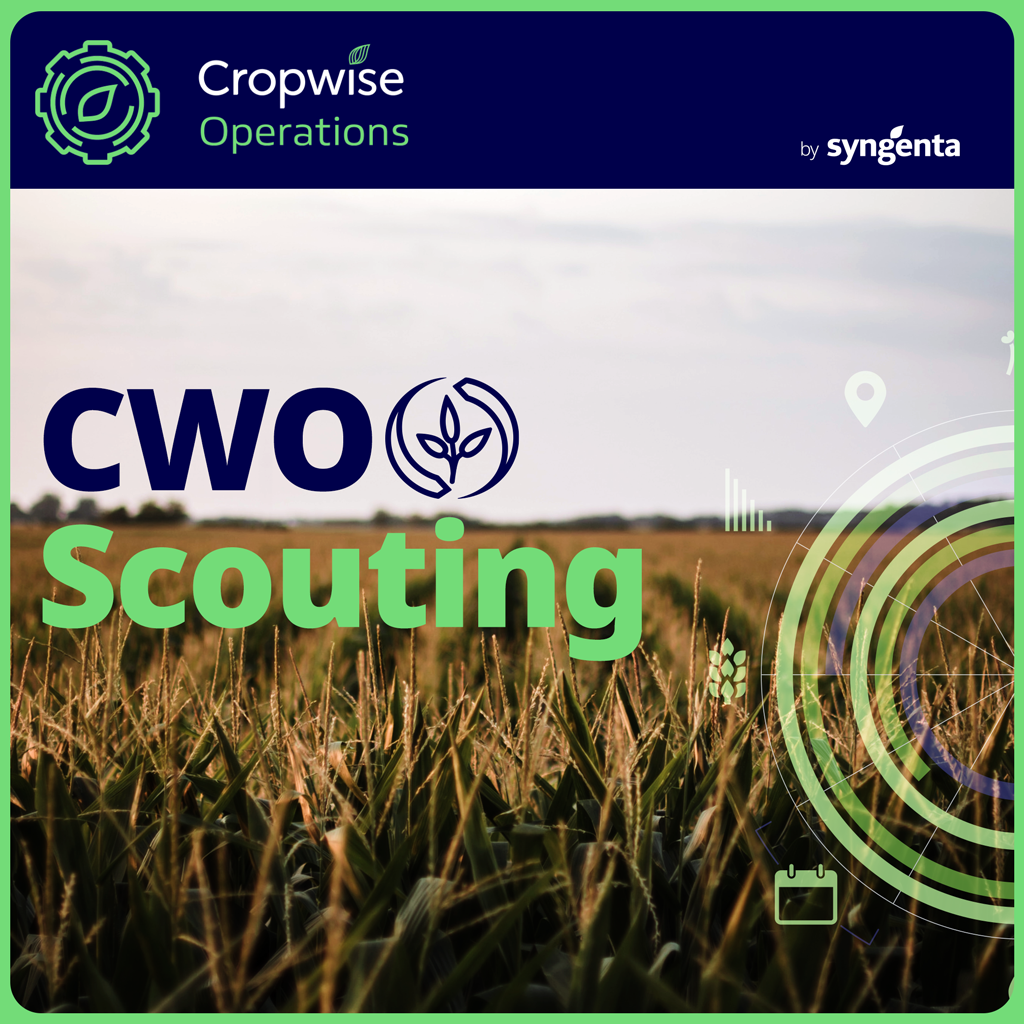 CWO Scouting