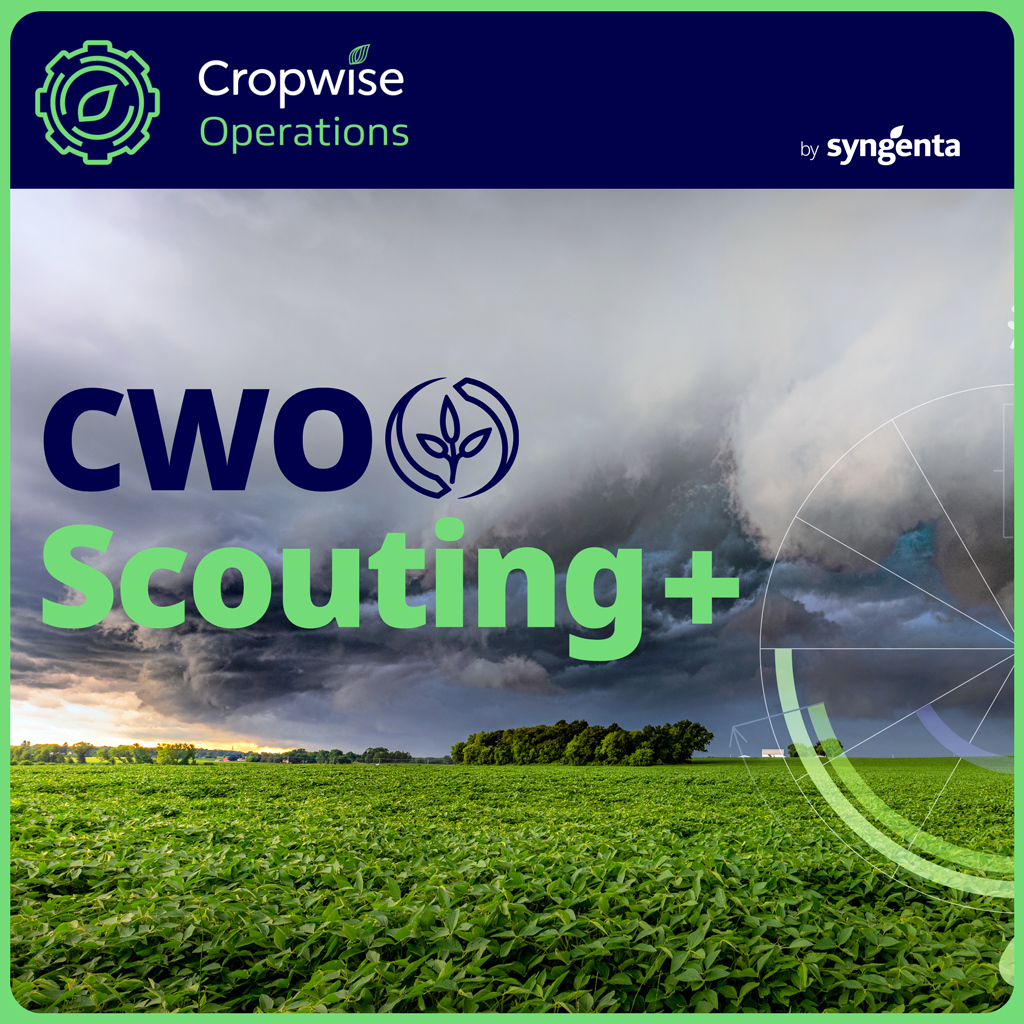 CWO Scouting+