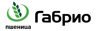 gabrio_logo.jpg