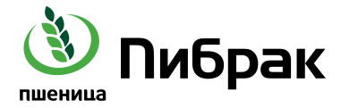 pibrak_logo.jpg
