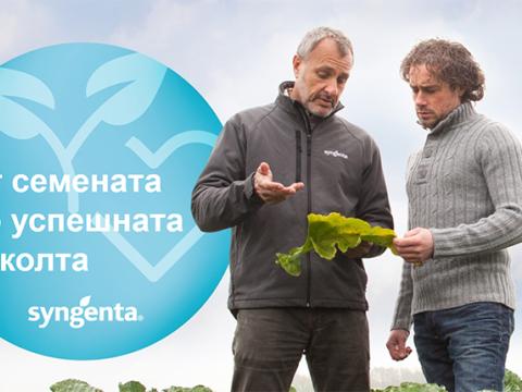 Препоръки за успешно производство на зеленчуци от Синджента. От семената до успешната реколта. 