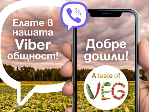 Професионална Viber общност на Синджента за производители на зеленчуци: Taste of Veg.