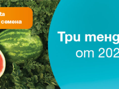 Три тенденции в българското зеленчукопроизводство за 2021 г. от Синджента.