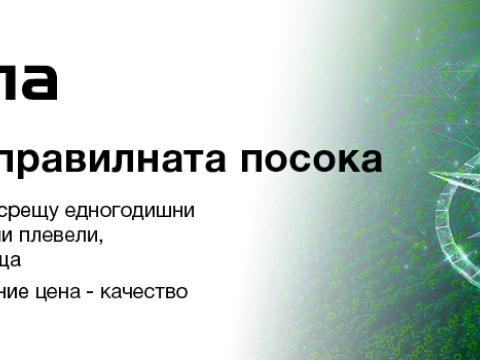 Зетрола Есен 2023