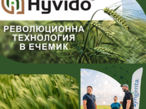 Hyvido технология2