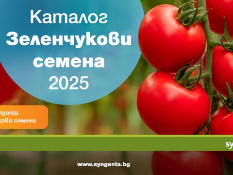 Каталог Syngenta Зеленчукови семена 2025