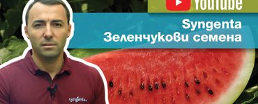 YouTube канал за зеленчукови семена на Синджента.