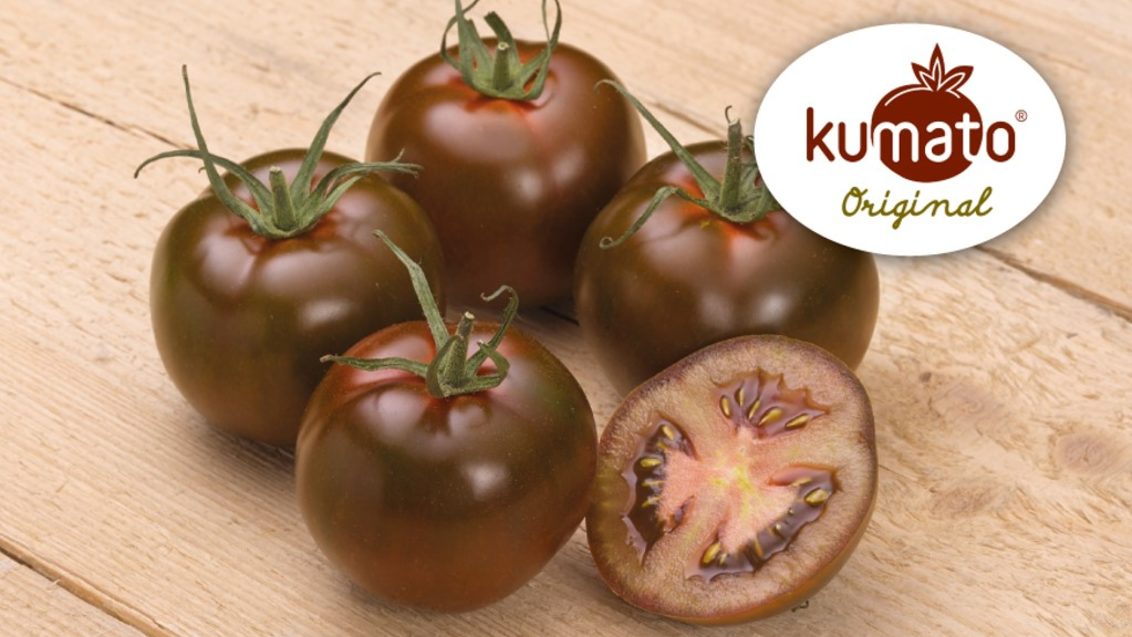 Професионални семена от специален домат Кумато. Познат със своят изключителен аромат и вкус, Кумато не остава незабелязан на щанда поради своя характерен по-тъмен цвят. Той е особено месест, сочен и по-сладък от традиционните сортове, с леко кисела нотка.