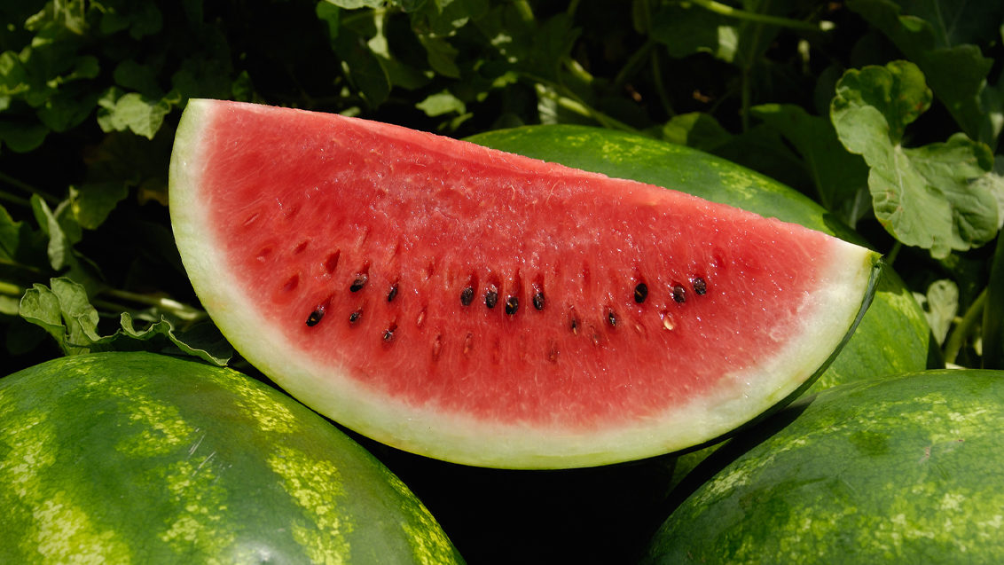 CP-watermelon-header-1132x637px.jpg