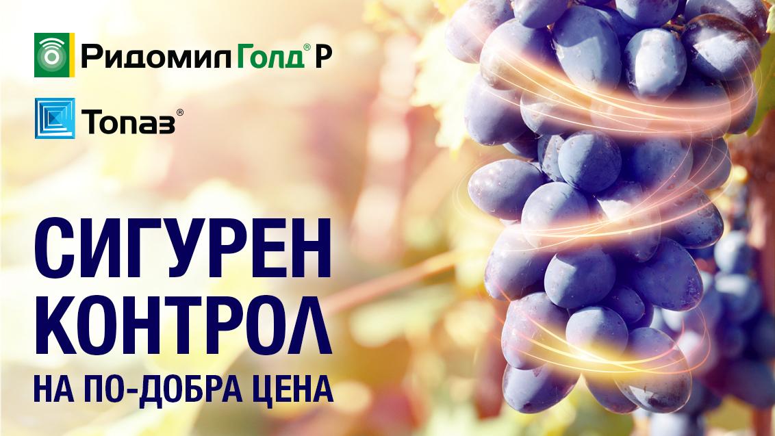 Промо комбинация Ридомил Голд Р + Топаз 2023