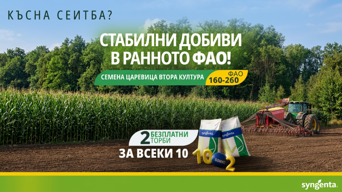 царевица 2026 втора култура