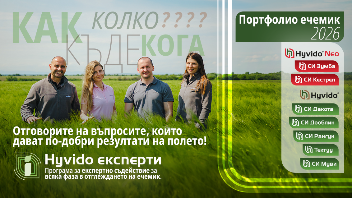 Ечемик промоции 2026