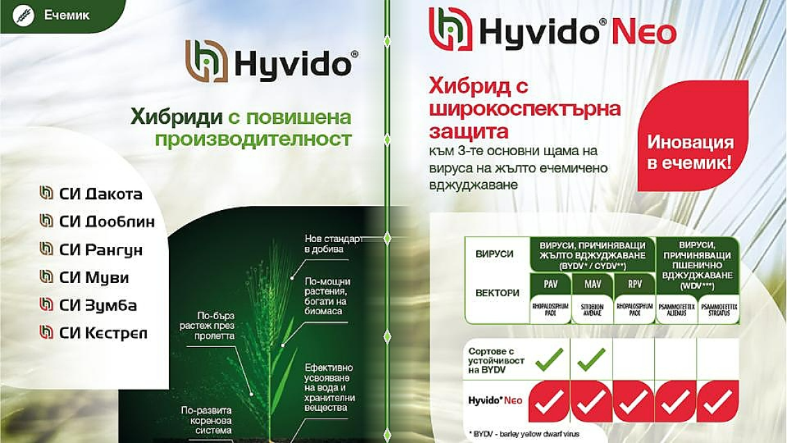 Две рекламни графики за Hyvido: зелена листовка и таблица за сравнение на продукти