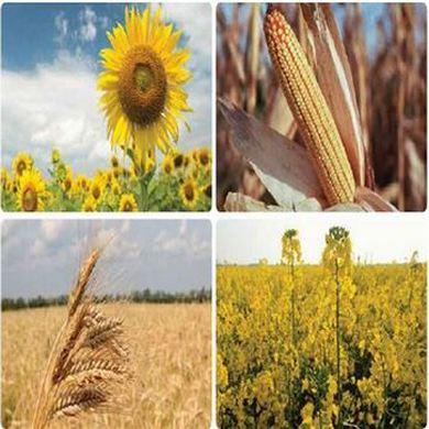 main_picture_technology_programs