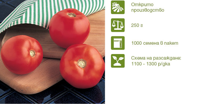 Професионални семена безколов червен домат Маунтин спринг: от Синджента. Осигурява ранен добив с отличен търговски вид на плодовете. Растенията са със средно развита листна маса и отворен хабитус.