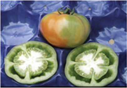 Кухи плодове при доматите: симптоми и средства за контрол. Растителна защита при кухи плодове: Исабион.