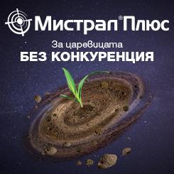 Мистрал Плюс 2024