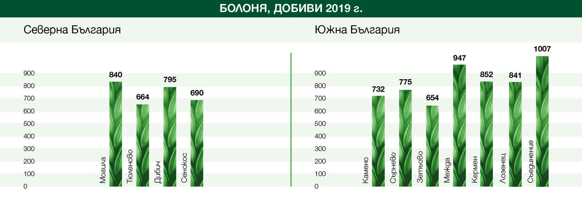 Пшеница Болоня Синджента добиви 2019
