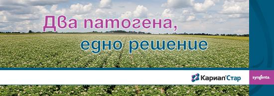 Кариал Стар