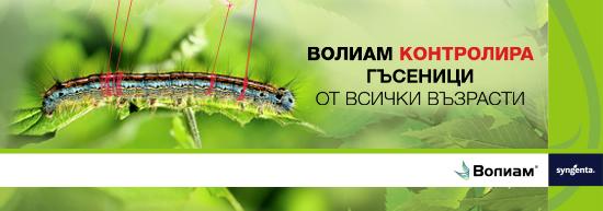 DMG_SY-frame_Voliam_banner_550x193px_01.jpg