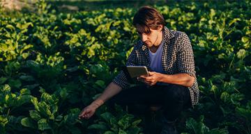 syngenta_cp_fungicides_banner_360x193px_02.jpg