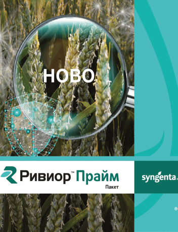 ривиор прайм брошура