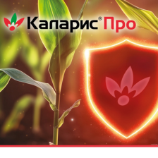 Каларис Про  224