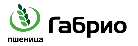gabrio_logo.jpg