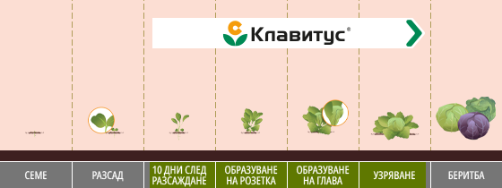 инфографика
