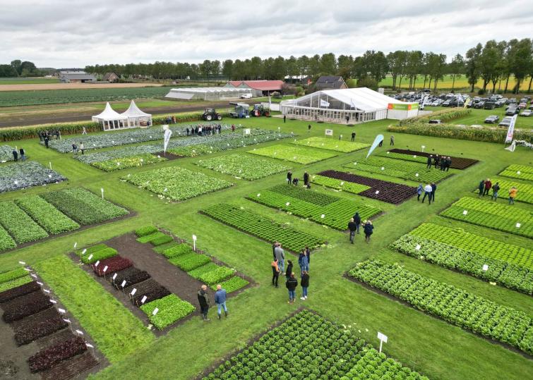 syngenta innovation