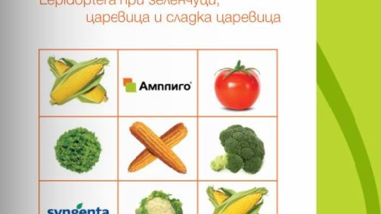 Амплиго банер