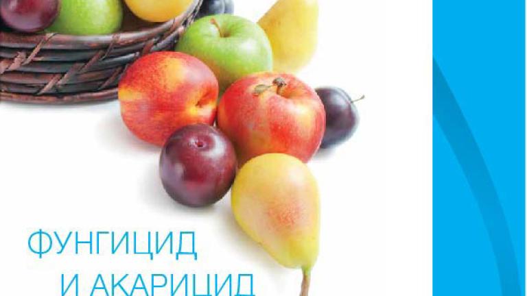 Тиовит Джет банер