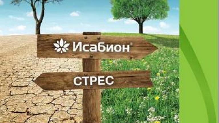 Брошура Исабион