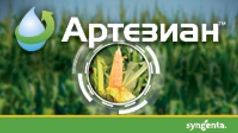 Хибриди царевица