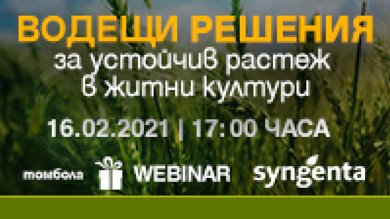 Синджента Уебинар Житни култури