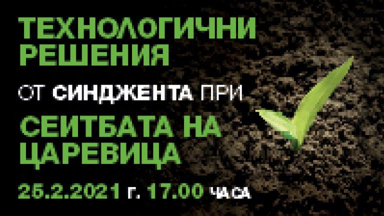Уебинар царевица Синджента