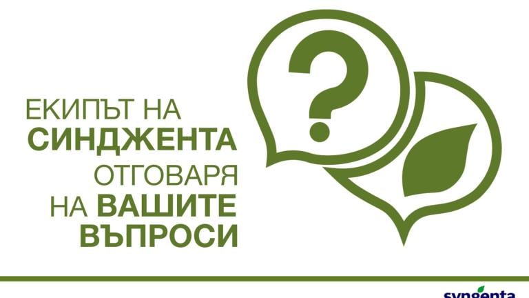 Екипът на Синджента отговаря на въпросите на производителите. 