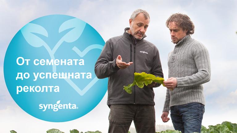 Препоръки за успешно производство на зеленчуци от Синджента. От семената до успешната реколта. 