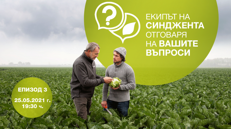 Екипът на Синджента отговаря на въпросите на производителите на зелечукови култури.  