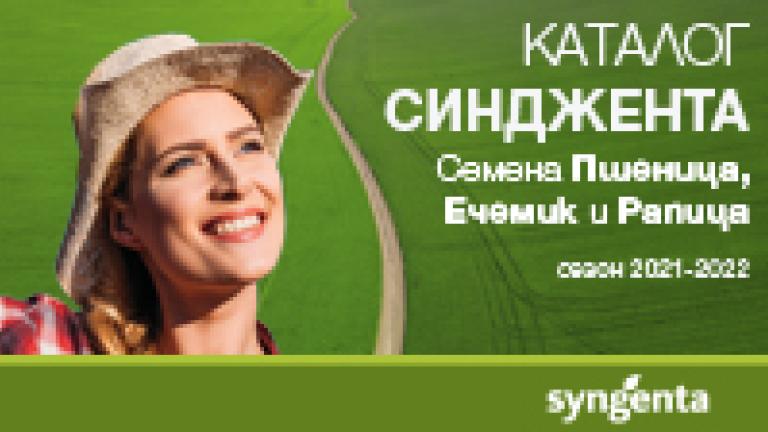 Синджента портфолио семена рапица, пшеница и ечемик 2021