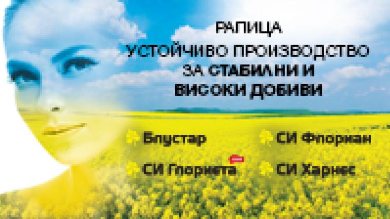 Хибриди рапица Синджента 2021