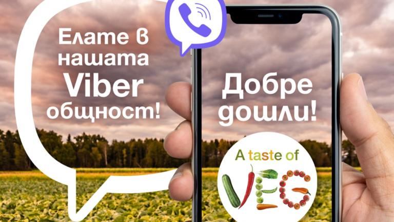 Професионална Viber общност на Синджента за производители на зеленчуци: Taste of Veg.