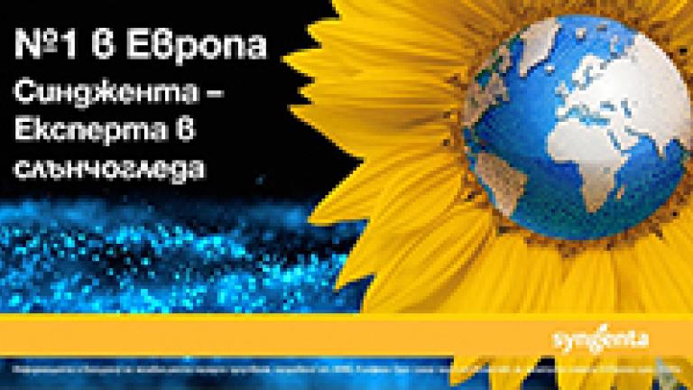 Синджента – Експерта в слънчогледа с рентабилни предложения за сезон 2022г
