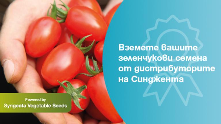 Синджента зеленчукови семена