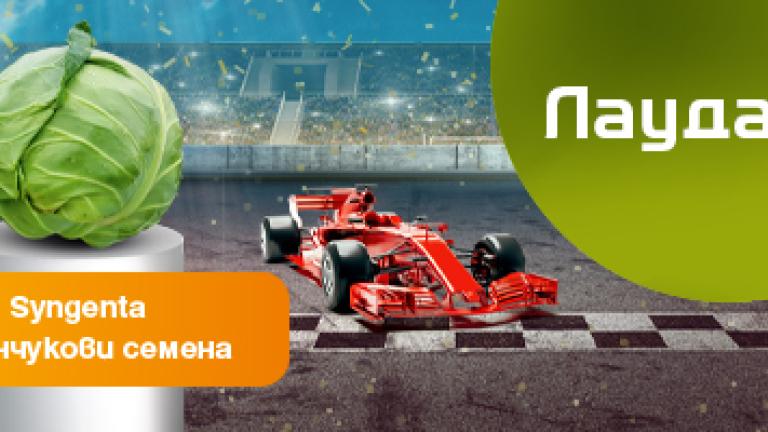 Семена ранно зеле Лауда от Синджента.