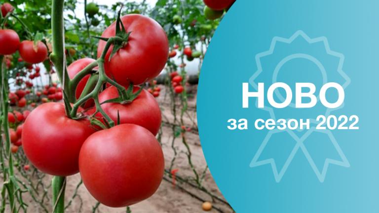 Нови предложения зеленчукови семена от Синджента.