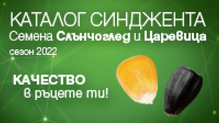 Каталог 2022 слънчоглед & царевица Синджента