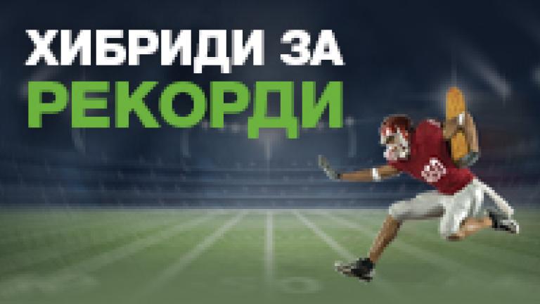 Хибриди за рекорди Семена царевица Синджента