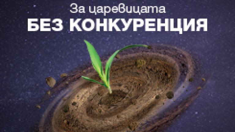 Мистрал Плюс 2024